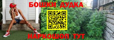 a pvp Брянск